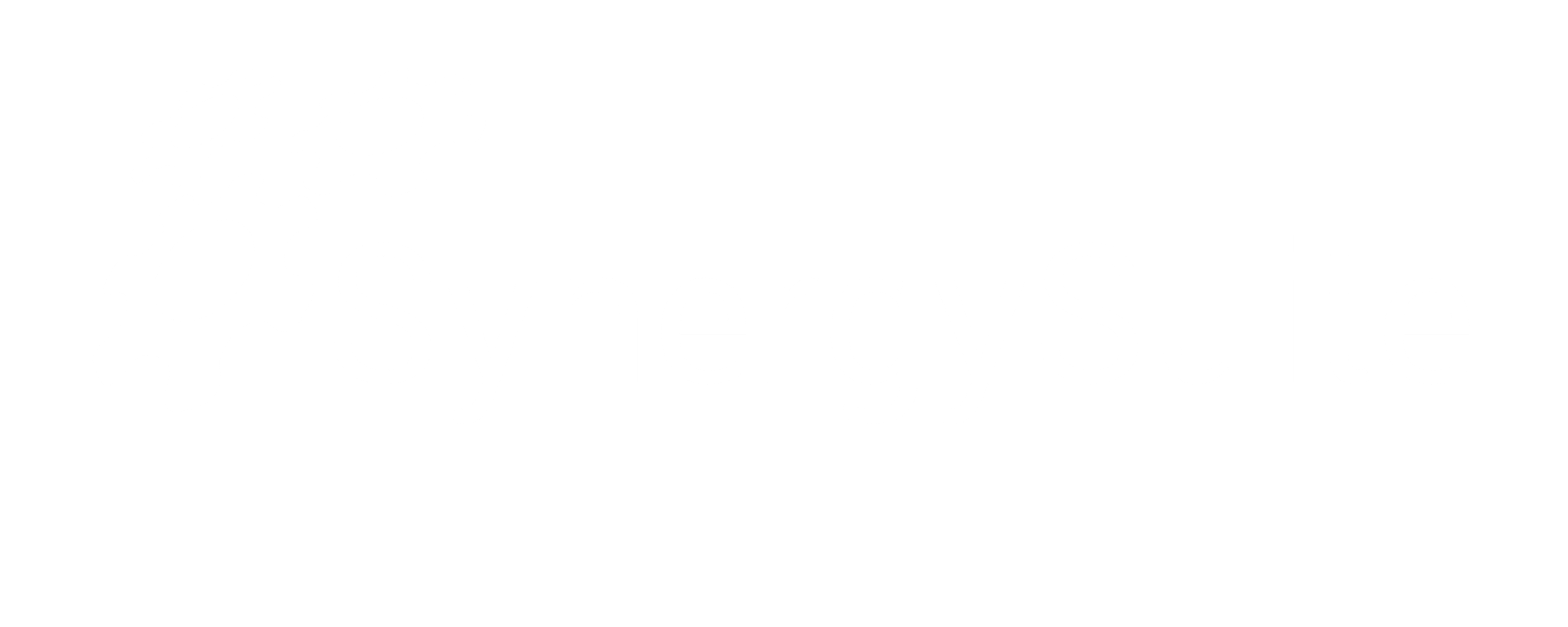 SynergySuite logo plus tagline_white